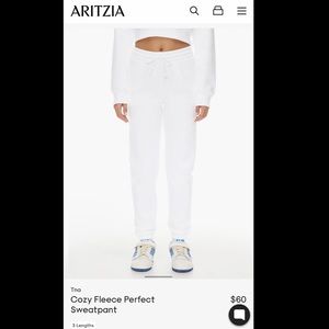 NWT✨ARITZIA Cozy Fleece Perfect Sweatpants 💖